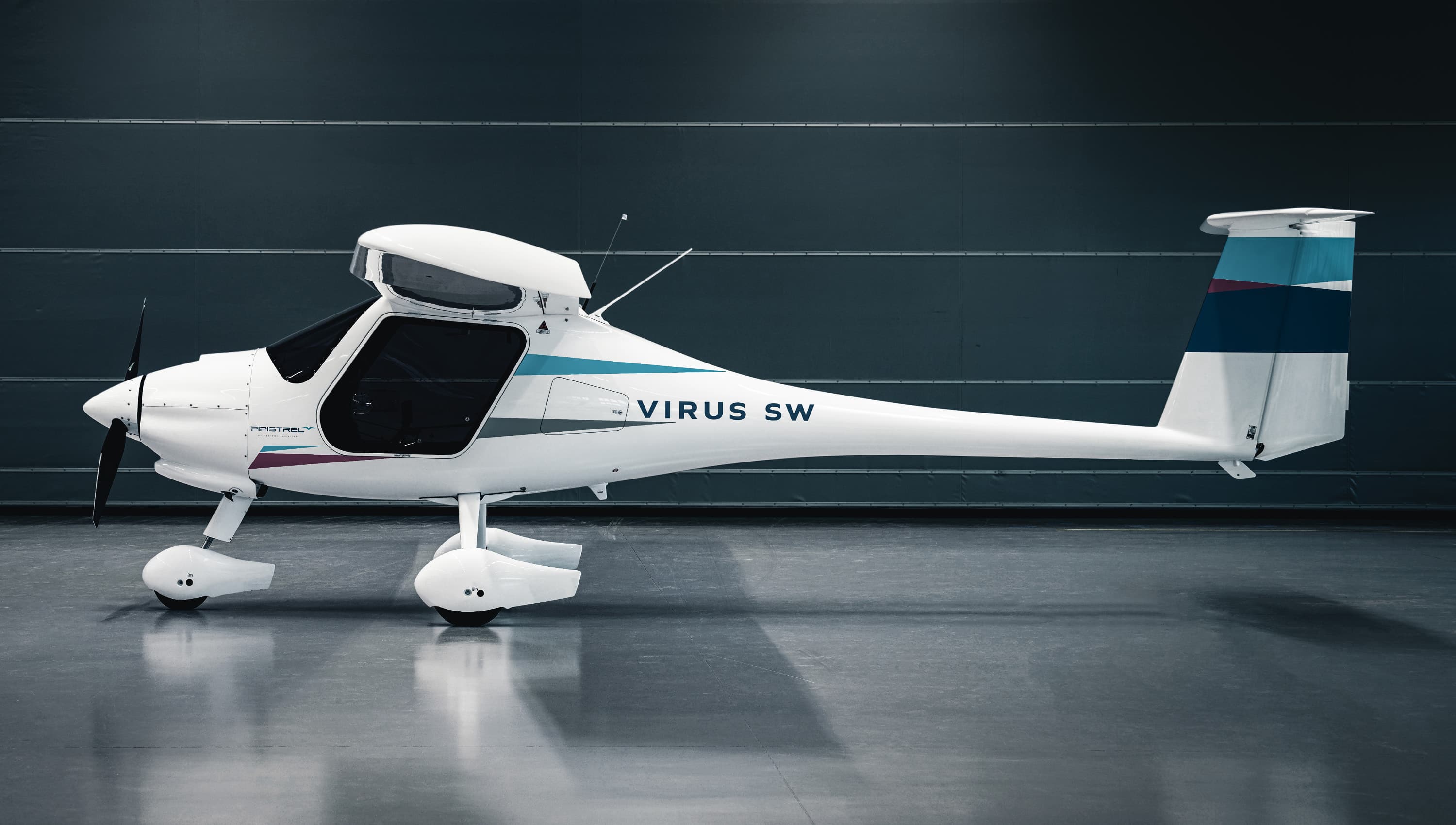 Virus SW